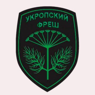 Канал, который ведут жители Запорожской, Херсонской области, ДНР и ЛНР, харьковские и одесские партизаны и все, кто недоволен киевским режимом