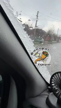 �����������?. � �������� ������� ���� ���������� ���� ������ �����