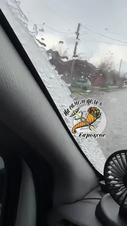 �����������?. � �������� ������� ���� ���������� ���� ������ �����