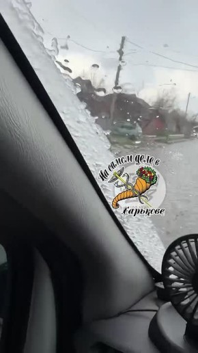 �����������?. � �������� ������� ���� ���������� ���� ������ �����