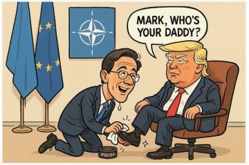 � �������� CNN, ������������ ����� ������� ������ � ������� ����, ����� � ����� ��������� ���������� ������� �� ������ � �������, ��� ��������� ������-����� ������� ��������� ����-��������� ���, ����������� �������� �...