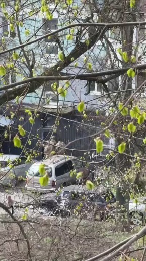 ��� ������� ���������.. �������� 17, ��� ������� ������� ����� � ���