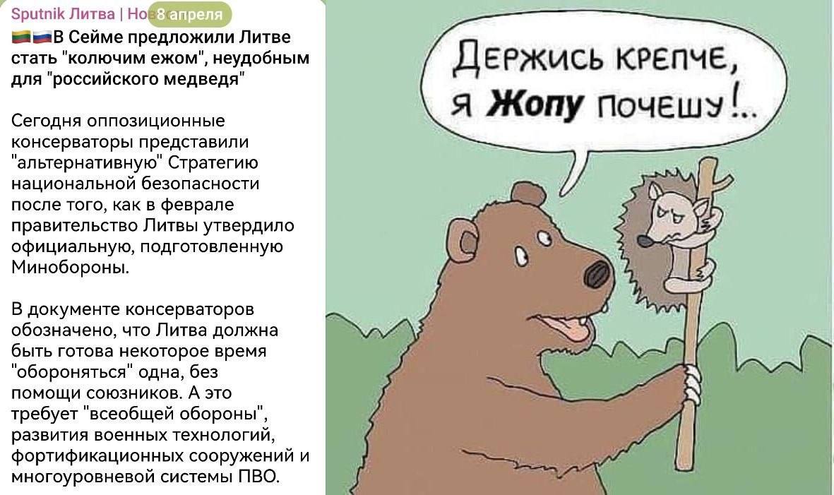 Да ежей в России на завтрак едят!