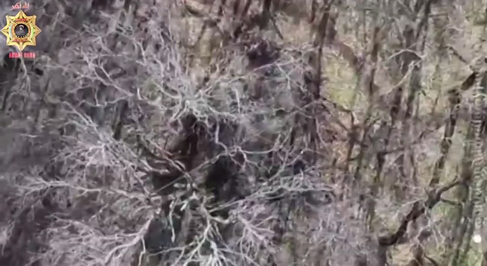 ������ �������: ����������� �����������. � ���� ��������������� ����������� ��������� ����� ����� ������� �� �� ��� ������������� �������� ����� ������� �������� ������ ������������ ����������� ������ �� ��������...