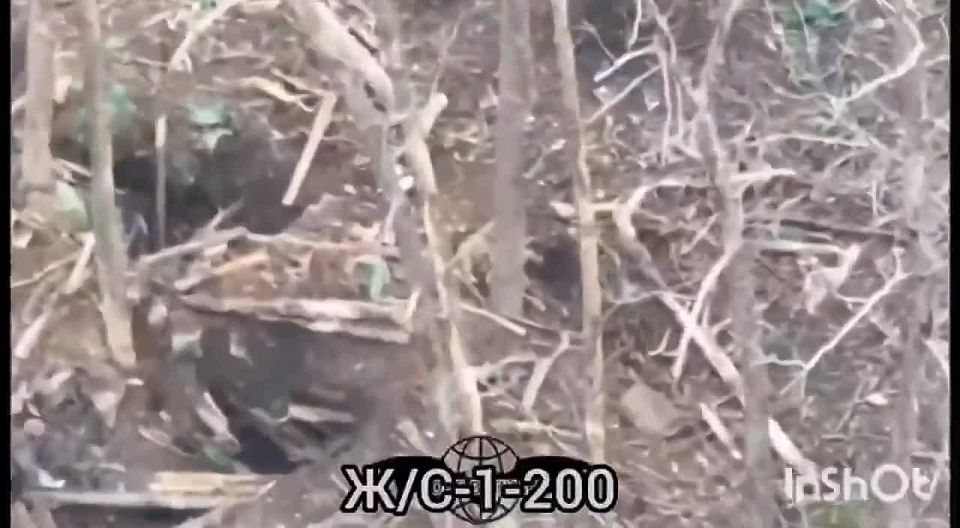 ��������� �����������. ����������� ����� ���� ����������