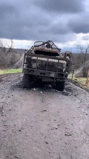 ������������ Dingo ATF ��� � ����������� �������