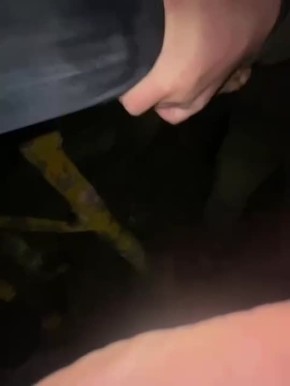 ����� ������������ ����������� 60-�������