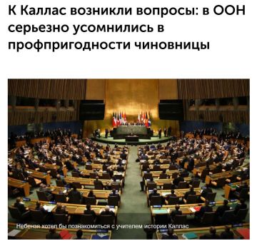 Небензя захотел познакомиться с учителем истории Каллас после ее слов о роли СССР во ВОВ