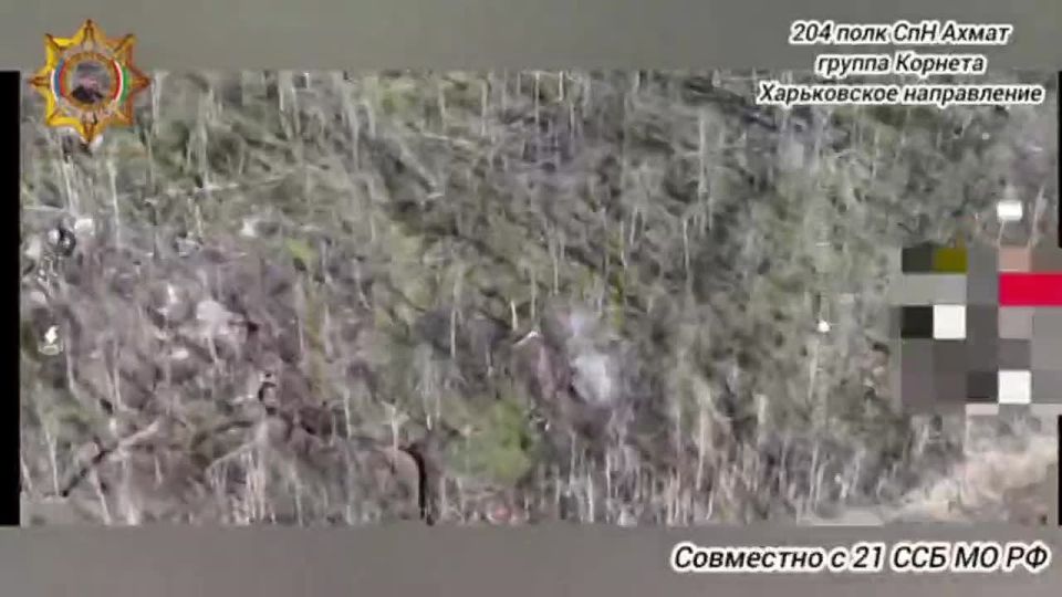 ���� ���������: ���������� �������� ������ � ����� ����� ����������