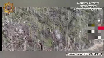 ���� ���������: ���������� �������� ������ � ����� ����� ����������