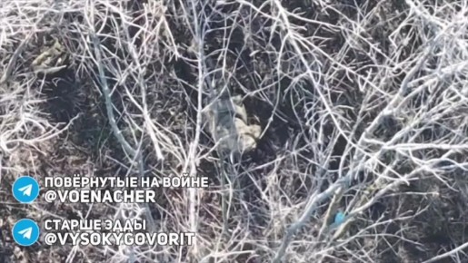 Купянское направление. Всем интересующимся ходом СВО, рекомендую посмотреть этот короткий ролик, на нем прообраз тех штурмовых действий, что при грамотном планировании скоро будет основным на всех фронтах