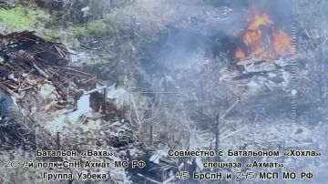 Рамзан Кадыров: Харьковское направление. Работают батальоны «Ваха» и «Хохол» легендарного спецназа «АХМАТ» МО РФ @AptiAlaudinovAKHMAT совместно с 45-й отдельной бригадой специального назначения и 245-м мотострелковым полком