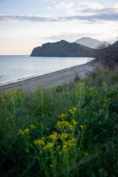 ������ � ����� �����. ���� ��������