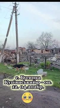 ������� ��������� �����. 12.04.2026