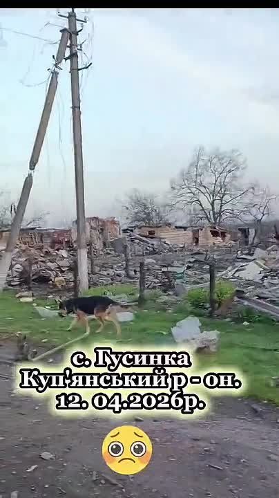 ������� ��������� �����. 12.04.2026