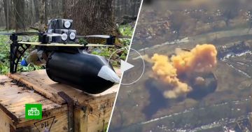 ������� ���� ���������� ������� ������� ��� �� ����������� �����������