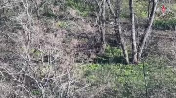 ���������� 245-�� ������������ ��������������� ����� ����������� ������ ���������� �������� ��� ��������� ������� ������������ � ����������� �������