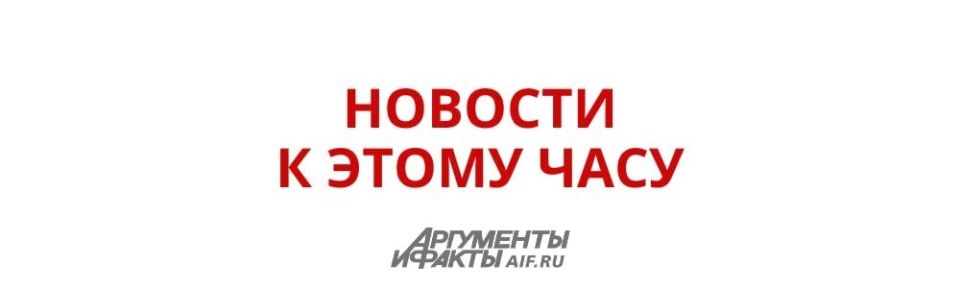 ������� �������� ������������ ������ �������������� �������� � ��������