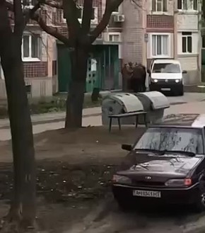 �������. ���-����� �������� ���������� ������� ����� � ��������