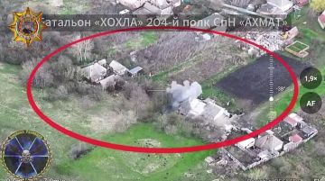 ���� ���������: ����������� ����� ���� � ������������� ������� ����������