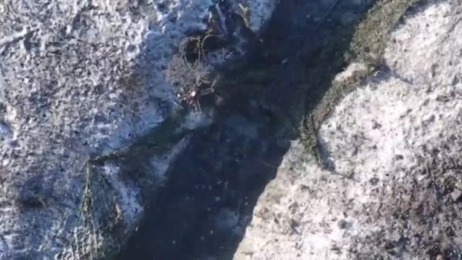 ������ ��� ����� �������� ��� � �������-�������