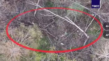 ������������ ����������� ������ �������� � ����������� �������