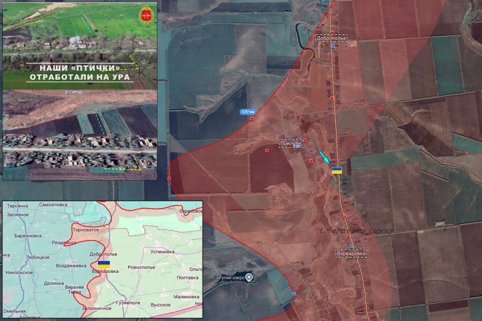 1. ��������� - ����������