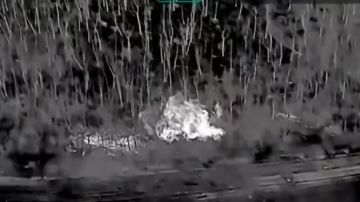 ������� ���������: ���������� ����� ���� � ����������� ������� ���������� � ��������� ������ ����������� �������