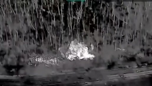 ������� ���������: ���������� ����� ���� � ����������� ������� ���������� � ��������� ������ ����������� �������