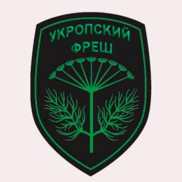 �����, ������� ����� ������ �����������, ���������� �������, ��� � ���, ����������� � �������� ��������� � ���, ��� ��������� �������� �������