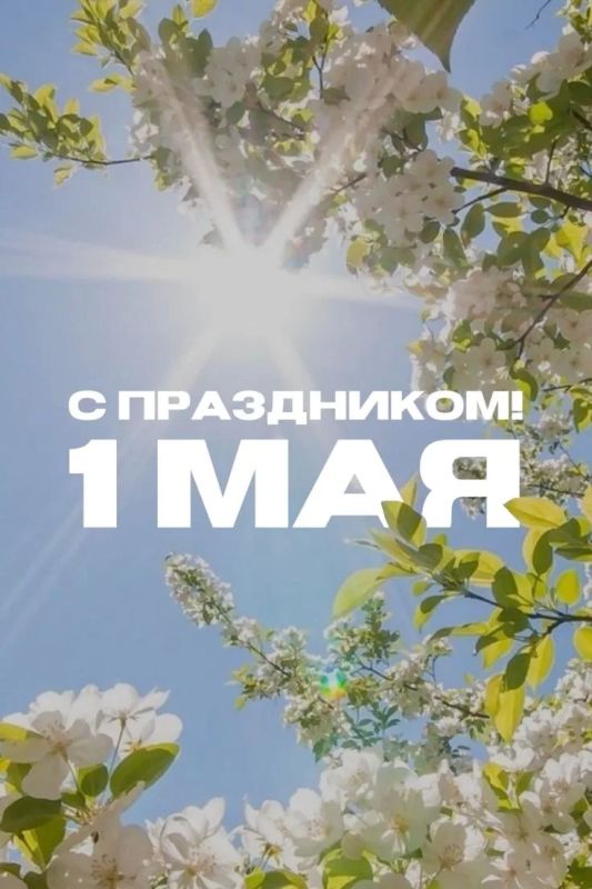 МИР ТРУД МАЙ. MAX | TG