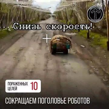 ������� ������: ������� �����������, ��� � ������� 2022 ����, � ������� ��������� ����� ��� ����� ������