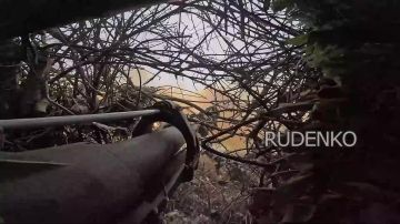 ������ �������: ������� ����������� ������ �-46 11-�� ���������� ������� ����������� ����� ������ ��� ���������� ������� ����� ���������� ������ ���������� ����, �������� � ��������� ����� ���� ��� � ����������� �������