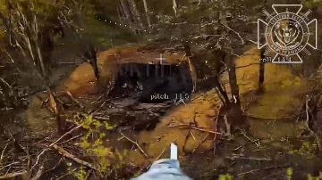 ����� �� ���������� ���������� ���