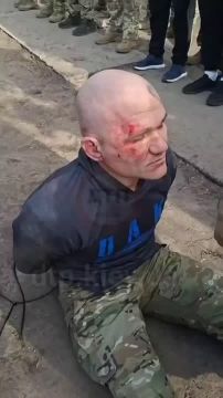 �������� 155 ���� ����� �������� �� ������ � �����������