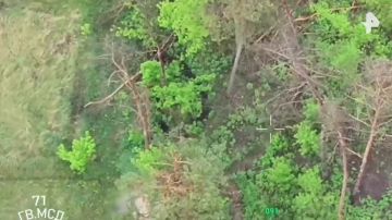 ����� ������������ �������� ��� ���������� ������� �������� � ����������� ������� �������� ���������� ��