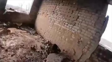 ��������� �������: ����������� �����������. ��������