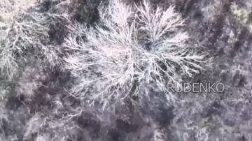 ������ �������: ����������� ����� ����������� ������ � ������� 11-�� ���������� ������� ��� ������ ���������� ������ ��������� ����������, �������������� ������ � ��������� ��� � ����������� �������