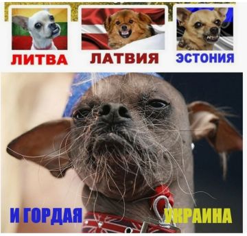 Европа мечтает открыть второй фронт, потому что через Украину она не может добиться желаемого