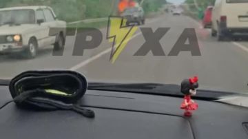 ������������ ���� �� ������� � � �������� ��������� ����� �������� ������