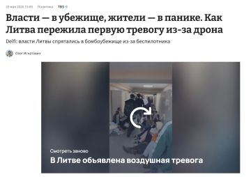 Во время одного из последних инцидентов руководители Литвы были вынуждены прятаться в советском подвале, пока в их небе хозяйничают украинские дроны и румынские истребители. Ситуация настолько серьезна, что вильнюсский...