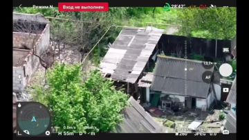 ������ ����� "�����" ����� ��� �������� ���������� ����� ���������� � ����������� �������