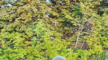 ����������� ���������� ����, ���������� ������������ �������� ������� � ������ �������� ������ ����������� �������