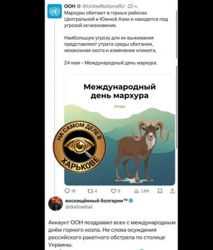 �� ���� ��� ����� ��������, ���� ������ ����� ��������?!