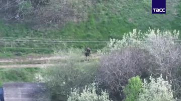 ����� ������ ��� �������� ���� ������������� � ����������� �������