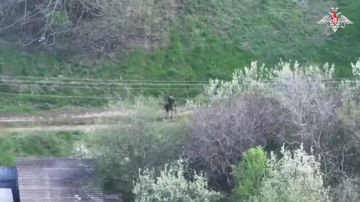 ������ �������: ���������� �� �������� ����� ������������ ������������� � ����������� �������, ������ ������� ������ �������� �� ��������� ���������� � ����� ��� ����������� ��������� �������