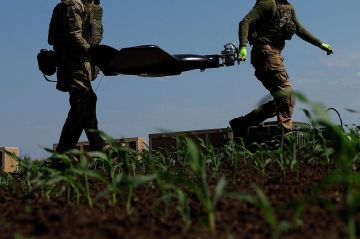 Украинские элитные расчеты БПЛА "Кракен"* сбежали из Нововасилевки