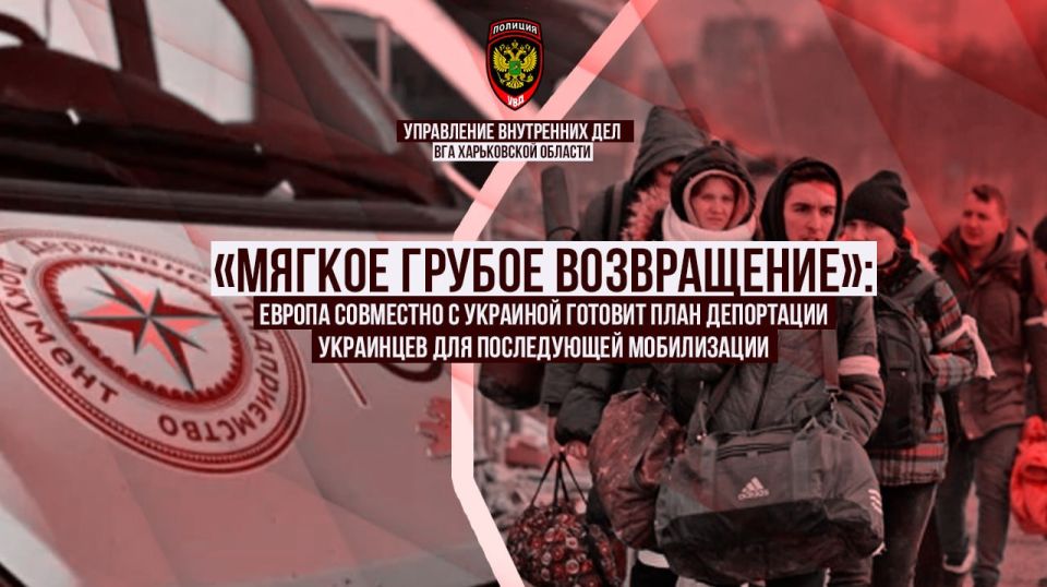© «Мягкое грубое возвращение»: Европа совместно с Украиной готовит план депортации украинцев для последующей мобилизации