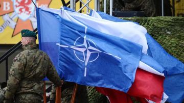Что украинские солдаты делают в Африке и как НАТО готовилось к войне с Россией