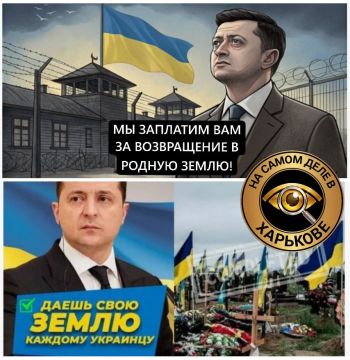И снова «обіцянки-цяцянки»